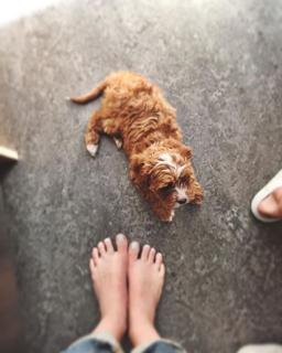 Arryn Zech feet photo 10