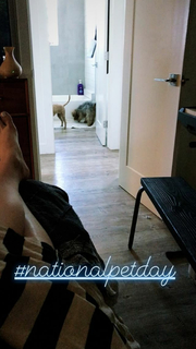 Arryn Zech feet photo 4