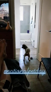 Arryn Zech feet photo 3