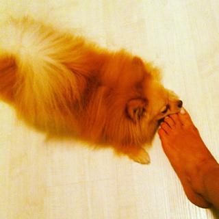 Aryane Steinkopf feet photo 17