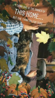 Aryna Sabalenka feet photo thumbnail