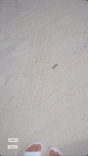 Aseel Omran feet photo thumbnail