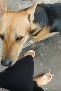Asha Saini feet photo 3