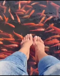 Asha Saini feet photo 14