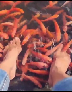 Asha Saini feet photo 12