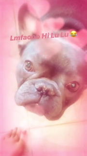 Ashanti feet photo thumbnail