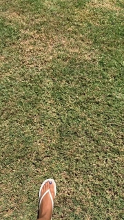 Ashanti feet photo thumbnail