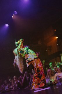 Ashe feet photo thumbnail