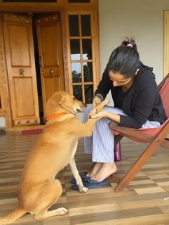 Ashika Ranganath feet photo 19