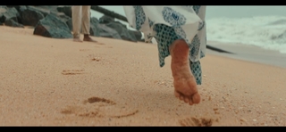 Ashika Ranganath feet photo 9