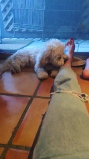 Ashleigh Brewer feet photo 14