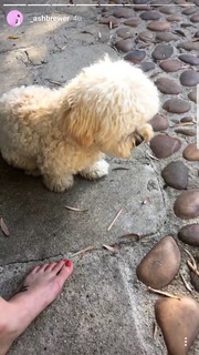 Ashleigh Brewer feet photo 11