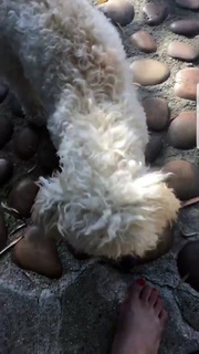 Ashleigh Brewer feet photo 9