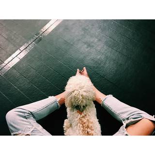 Ashleigh Brewer feet photo 5