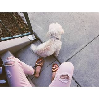 Ashleigh Brewer feet photo 1