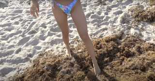 Ashley Alexander feet photo 14