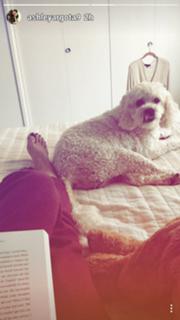 Ashley Argota Torres feet photo thumbnail