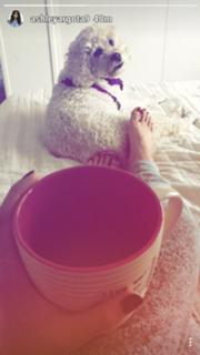 Ashley Argota Torres feet photo thumbnail