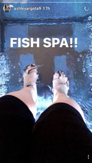 Ashley Argota Torres feet photo thumbnail