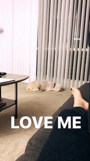 Ashley Argota Torres feet photo thumbnail