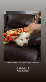 Ashley Argota Torres feet photo thumbnail