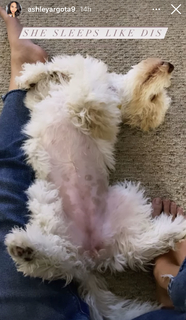 Ashley Argota Torres feet photo thumbnail