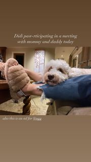 Ashley Argota Torres feet photo thumbnail