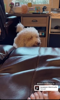 Ashley Argota Torres feet photo thumbnail