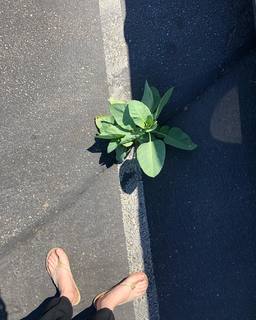 Ashley Bell feet photo 5