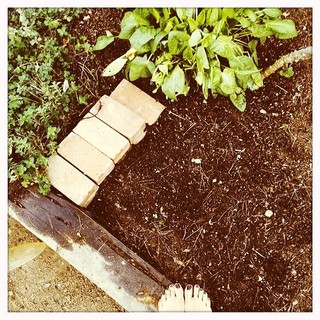 Ashley C. Williams feet photo 10