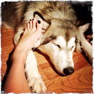 Ashley C. Williams feet photo 8