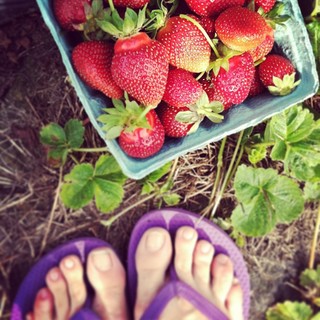 Ashley C. Williams feet photo 20