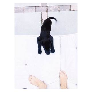 Ashley C. Williams feet photo 16