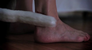 Ashley C. Williams feet photo 4
