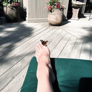 Ashley C. Williams feet photo 7