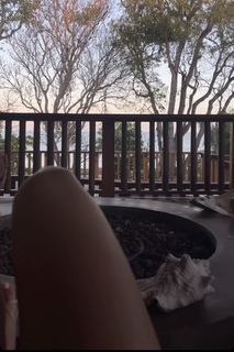Ashley Dickerson feet photo 9