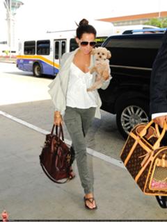 Ashley French feet photo 7