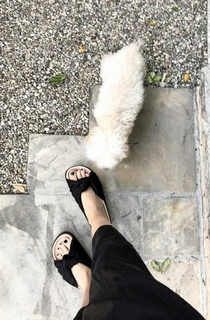 Ashley French feet photo 2