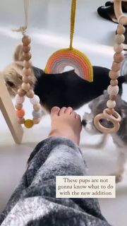 Ashley French feet photo 13