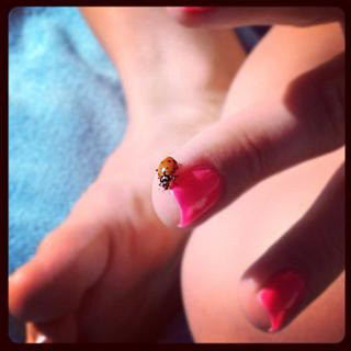 Ashley French feet photo 16