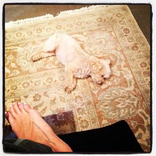 Ashley French feet photo 17