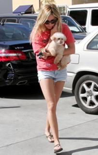 Ashley French feet photo 3