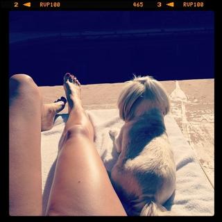 Ashley Madekwe feet photo thumbnail