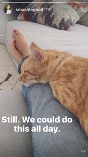 Ashley Madekwe feet photo thumbnail