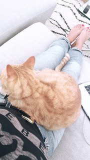 Ashley Madekwe feet photo thumbnail