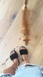 Ashley Madekwe feet photo thumbnail