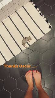 Ashley Madekwe feet photo thumbnail