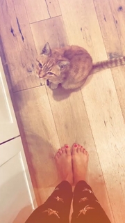 Ashley Madekwe feet photo thumbnail