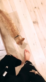 Ashley Madekwe feet photo thumbnail