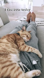 Ashley Madekwe feet photo thumbnail